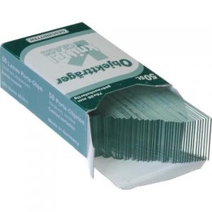 Blank Glass Slides (50-pack)